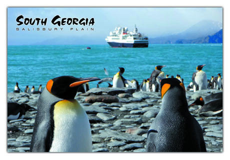 South Georgia Postcard - Salisbury Plain Ship