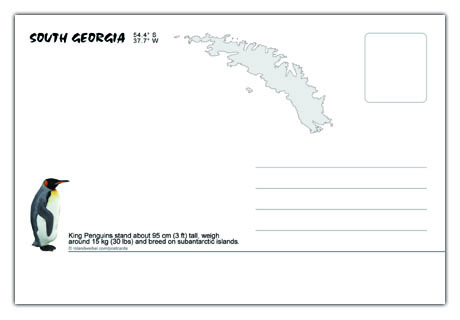 South Georgia Postcard - Back